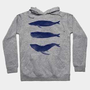 Whale Hoodie